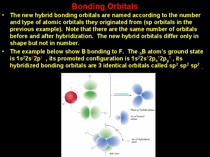 Bonding Orbitals • The new hybrid bonding orbitals are named according to the number