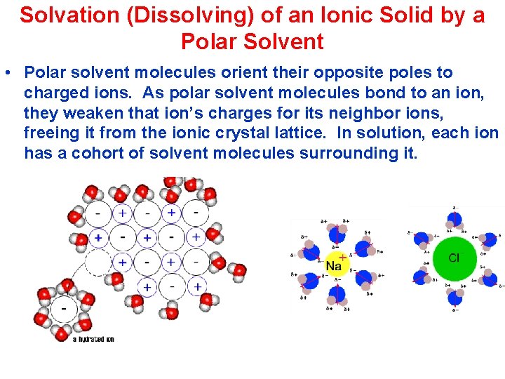 Solvation (Dissolving) of an Ionic Solid by a Polar Solvent • Polar solvent molecules