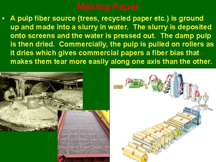 Making Paper • A pulp fiber source (trees, recycled paper etc. ) is ground