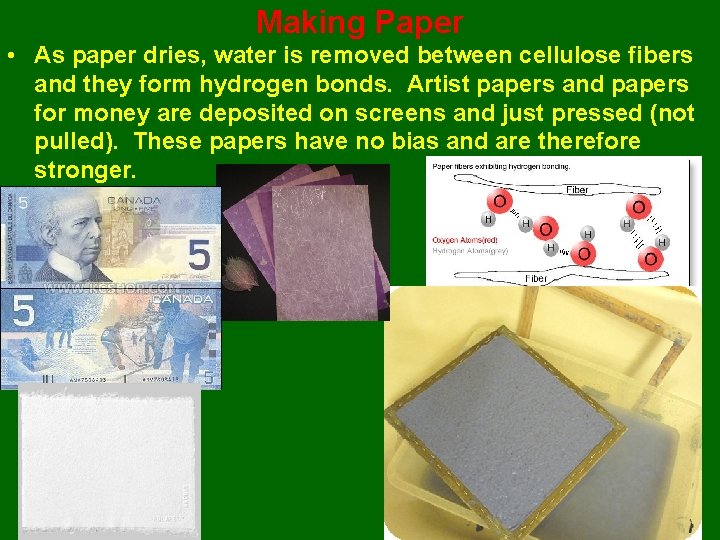 Making Paper • As paper dries, water is removed between cellulose fibers and they