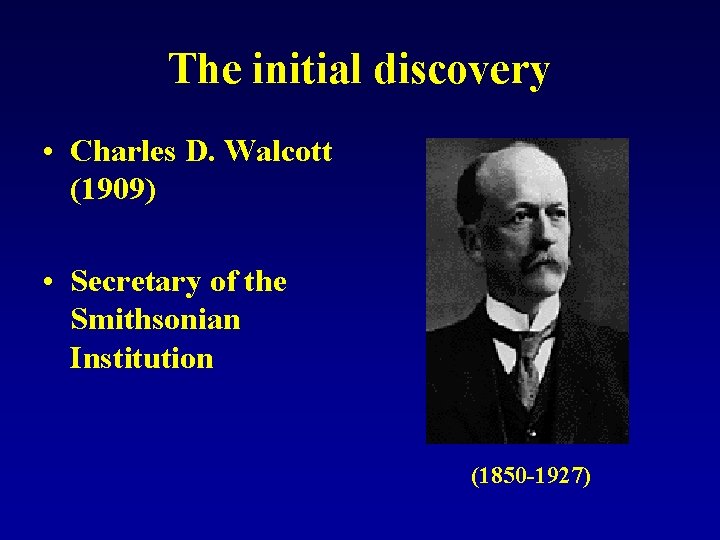 The initial discovery • Charles D. Walcott (1909) • Secretary of the Smithsonian Institution