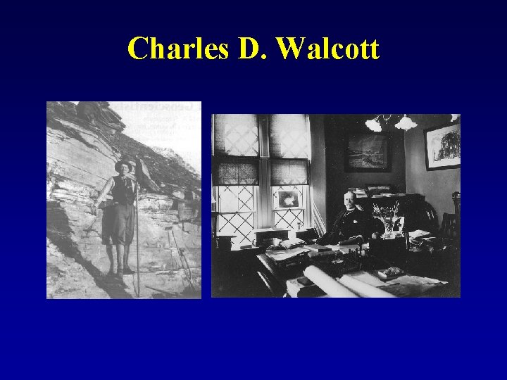 Charles D. Walcott 