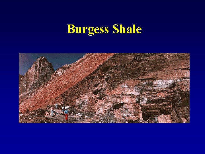 Burgess Shale 