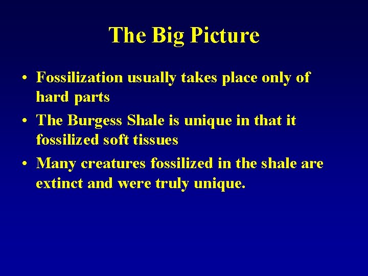 The Big Picture • Fossilization usually takes place only of hard parts • The