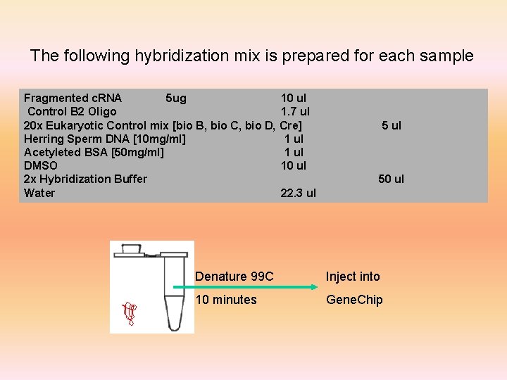 The following hybridization mix is prepared for each sample Fragmented c. RNA 5 ug