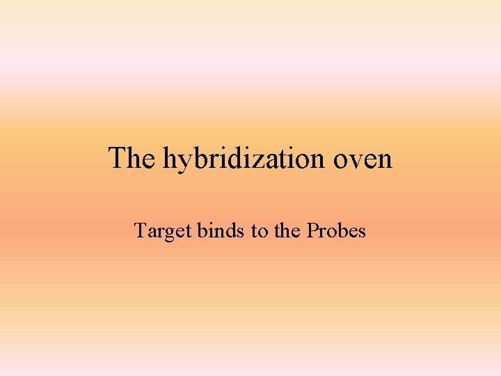The hybridization oven Target binds to the Probes 