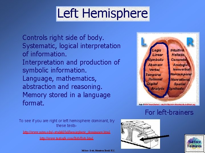Left Hemisphere Controls right side of body. Systematic, logical interpretation of information. Interpretation and