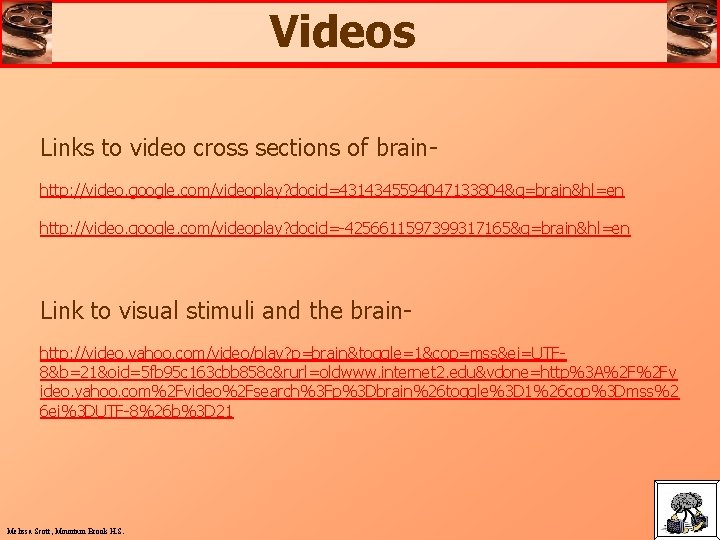 Videos Links to video cross sections of brainhttp: //video. google. com/videoplay? docid=4314345594047133804&q=brain&hl=en http: //video.