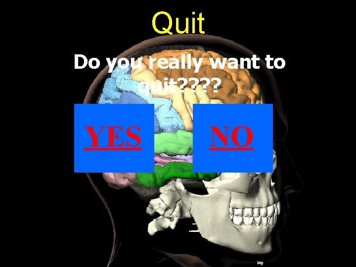 Quit Do you really want to quit? ? YES NO http: //www. loni. ucla.