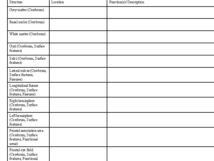 Structure Grey matter (Cerebrum) Basal nuclei (Cerebrum) White matter (Cerebrum) Gyri (Cerebrum, Surface features)