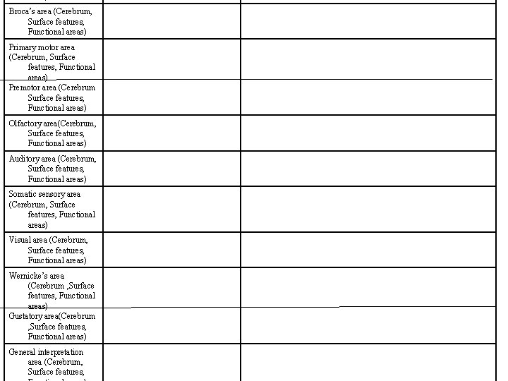 Broca’s area (Cerebrum, Surface features, Functional areas) Primary motor area (Cerebrum, Surface features, Functional