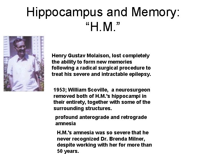 Hippocampus and Memory: “H. M. ” Henry Gustav Molaison, lost completely the ability to