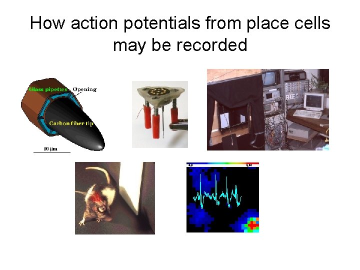 How action potentials from place cells may be recorded 