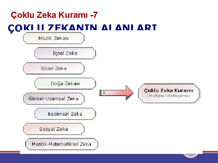  Çoklu Zeka Kuramı -7 ÇOKLU ZEKANIN ALANLARI 