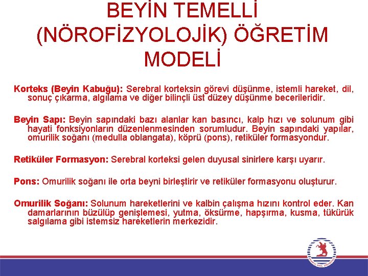 BEYİN TEMELLİ (NÖROFİZYOLOJİK) ÖĞRETİM MODELİ Korteks (Beyin Kabuğu): Serebral korteksin görevi düşünme, istemli hareket,