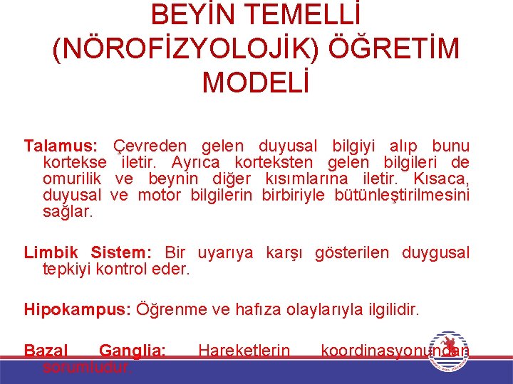 BEYİN TEMELLİ (NÖROFİZYOLOJİK) ÖĞRETİM MODELİ Talamus: Çevreden gelen duyusal bilgiyi alıp bunu kortekse iletir.