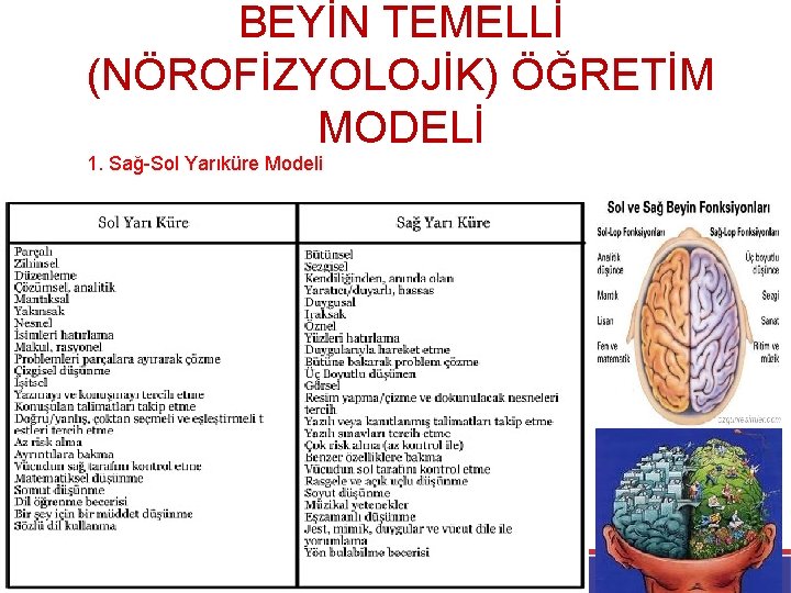 BEYİN TEMELLİ (NÖROFİZYOLOJİK) ÖĞRETİM MODELİ 1. Sağ-Sol Yarıküre Modeli 