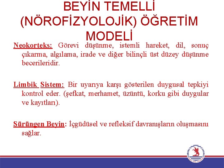 BEYİN TEMELLİ (NÖROFİZYOLOJİK) ÖĞRETİM MODELİ Neokorteks: Görevi düşünme, istemli hareket, dil, sonuç çıkarma, algılama,