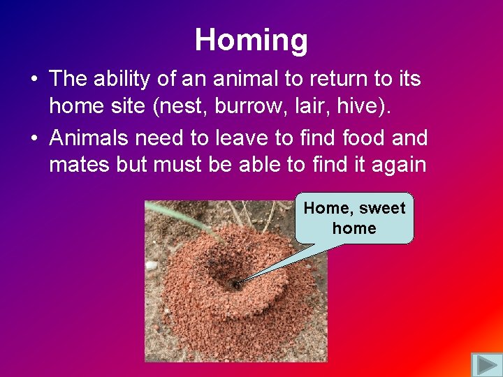Homing • The ability of an animal to return to its home site (nest,
