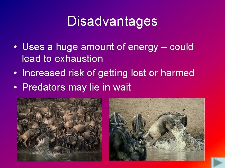 Disadvantages • Uses a huge amount of energy – could lead to exhaustion •
