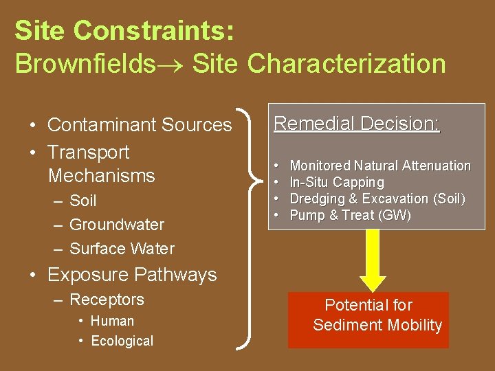 Site Constraints: Brownfields Site Characterization • Contaminant Sources • Transport Mechanisms – Soil –