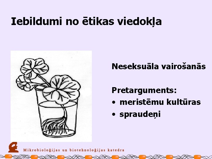 Iebildumi no ētikas viedokļa Neseksuāla vairošanās Pretarguments: • meristēmu kultūras • spraudeņi 