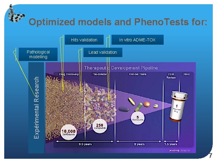 Optimized models and Pheno. Tests for: Hits validation Lead validation Expérimental Research Pathological modelling