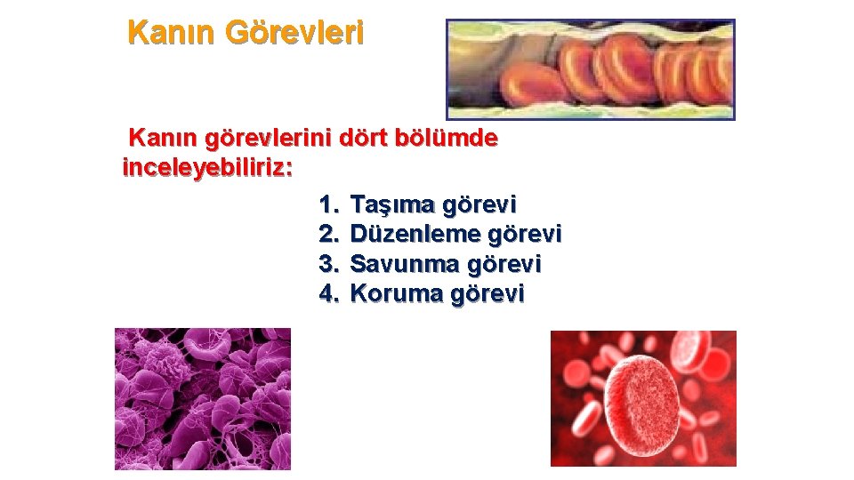 Kanın Görevleri Kanın görevlerini dört bölümde inceleyebiliriz: 1. Taşıma görevi 2. Düzenleme görevi 3.