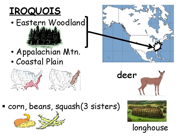 IROQUOIS • Eastern Woodland • Appalachian Mtn. • Coastal Plain deer § corn, beans,