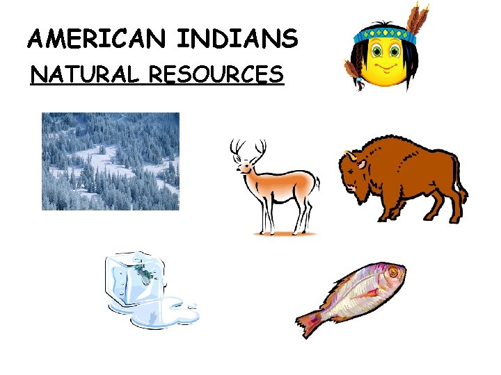 AMERICAN INDIANS NATURAL RESOURCES 