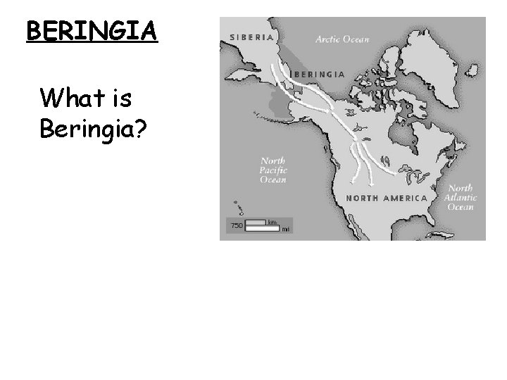 BERINGIA What is Beringia? 