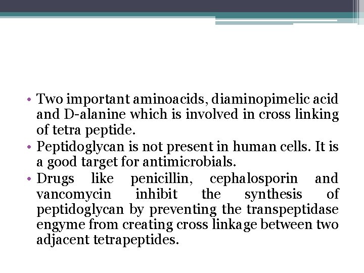  • Two important aminoacids, diaminopimelic acid and D-alanine which is involved in cross