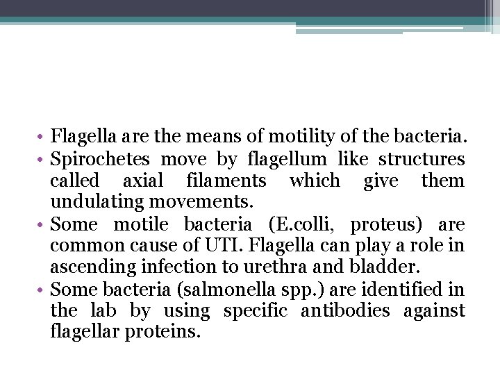  • Flagella are the means of motility of the bacteria. • Spirochetes move