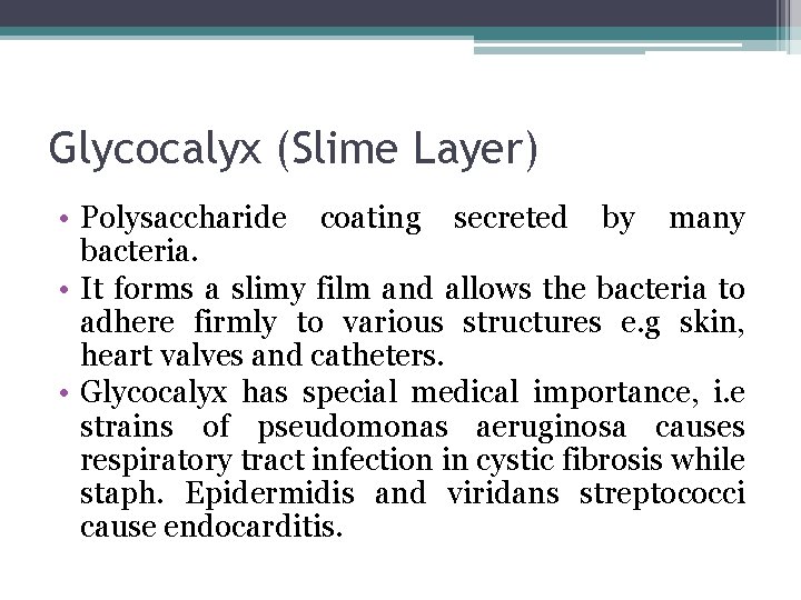 Glycocalyx (Slime Layer) • Polysaccharide coating secreted by many bacteria. • It forms a