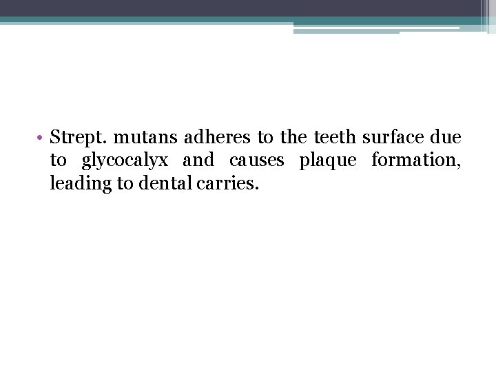  • Strept. mutans adheres to the teeth surface due to glycocalyx and causes