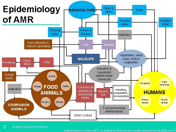 Epidemiology of AMR AQUACULTURE Rivers & streams Farm effluents & manure spreading Dead stock