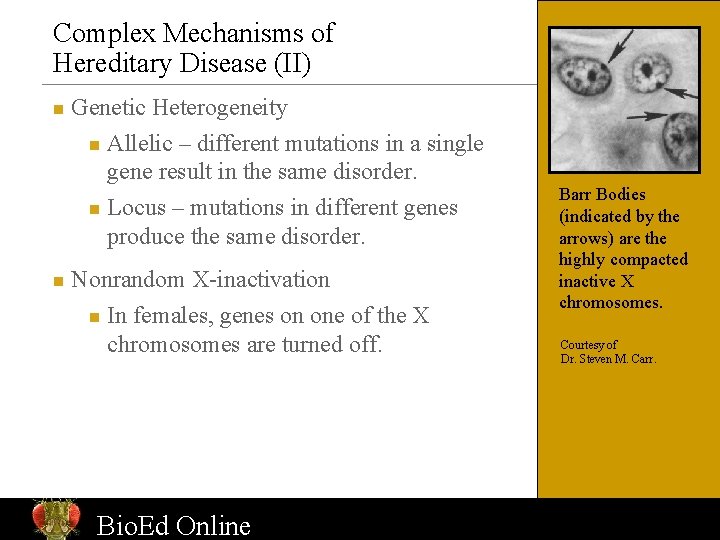 Complex Mechanisms of Hereditary Disease (II) n Genetic Heterogeneity Allelic – different mutations in