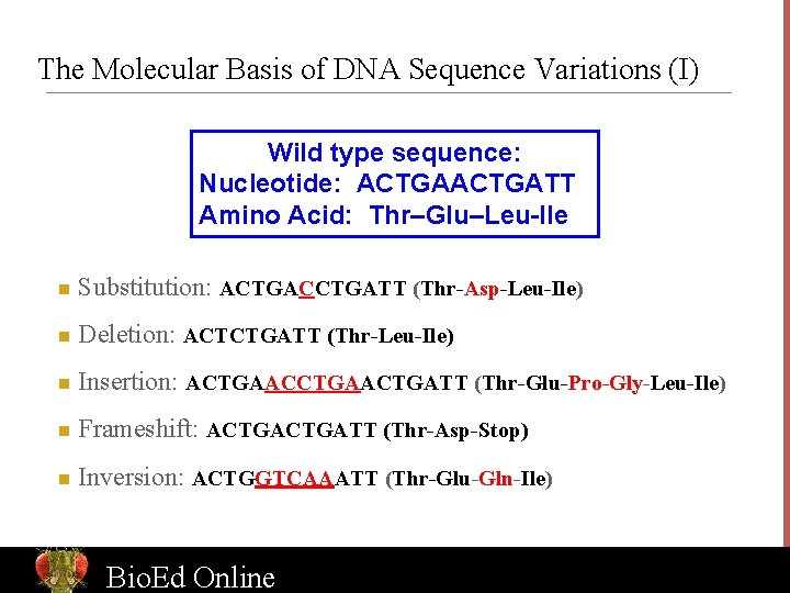 The Molecular Basis of DNA Sequence Variations (I) Wild type sequence: Nucleotide: ACTGATT Amino