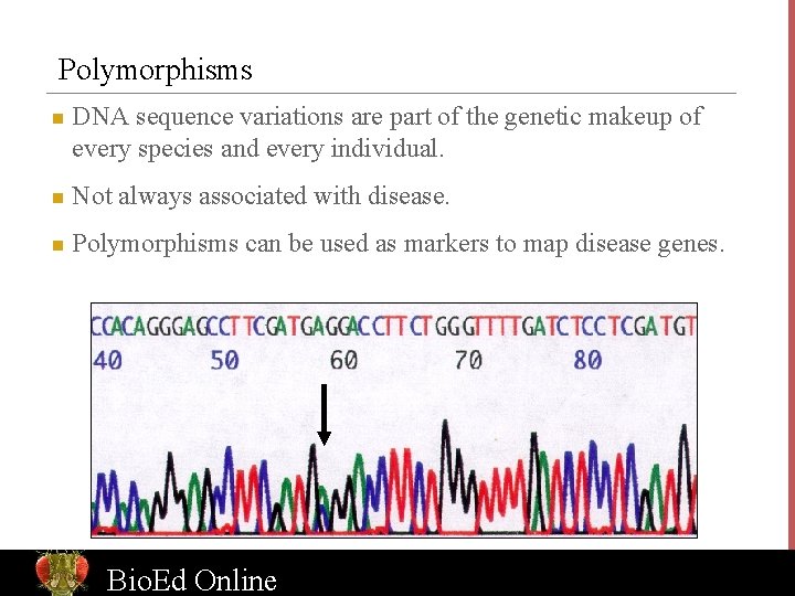 Polymorphisms n DNA sequence variations are part of the genetic makeup of every species