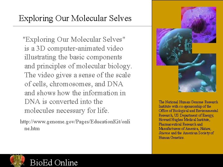 Exploring Our Molecular Selves "Exploring Our Molecular Selves" is a 3 D computer-animated video