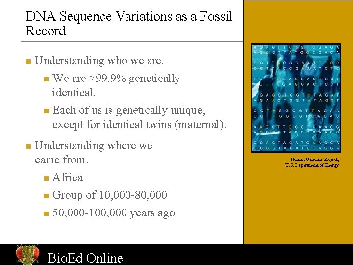 DNA Sequence Variations as a Fossil Record n Understanding who we are. We are