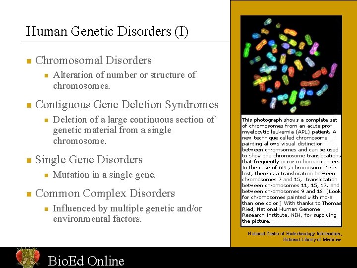 Human Genetic Disorders (I) n Chromosomal Disorders n n Contiguous Gene Deletion Syndromes n