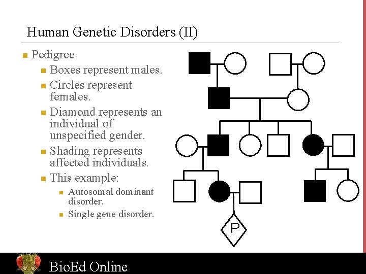 Human Genetic Disorders (II) n Pedigree n Boxes represent males. n Circles represent females.