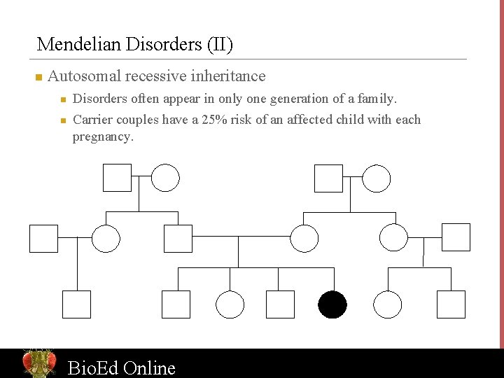 Mendelian Disorders (II) n Autosomal recessive inheritance n n Disorders often appear in only