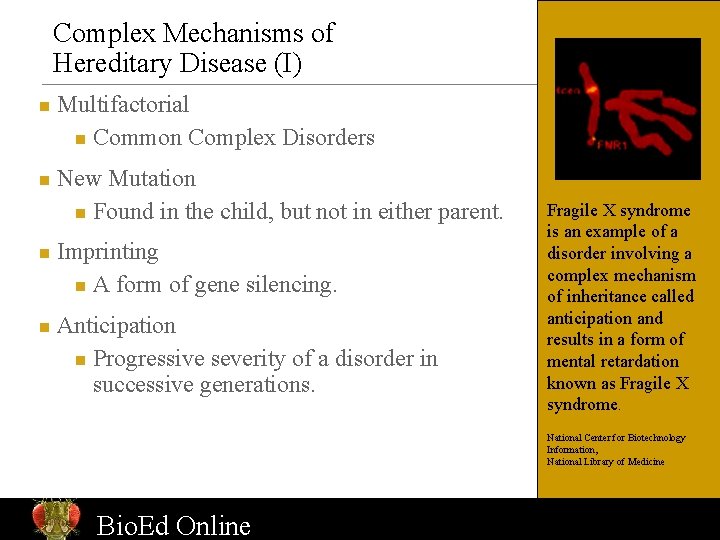 Complex Mechanisms of Hereditary Disease (I) n n Multifactorial n Common Complex Disorders New