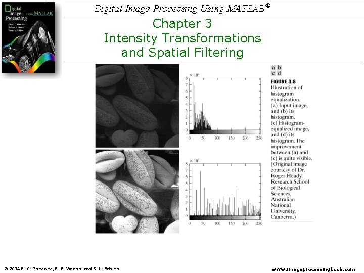 Digital Image Processing Using MATLAB® Chapter 3 Intensity Transformations and Spatial Filtering © 2004 Digital Image Processing Using MATLAB® Chapter 3 Intensity Transformations and Spatial Filtering © 2004