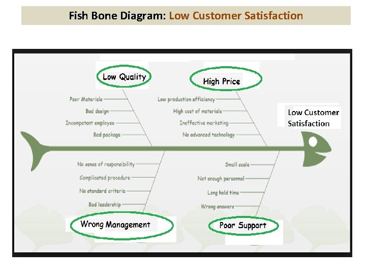 Fish Bone Diagram: Low Customer Satisfaction 