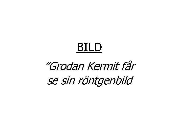 BILD ”Grodan Kermit får se sin röntgenbild 