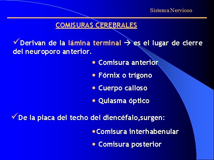 Sistema Nervioso COMISURAS CEREBRALES üDerivan de la lámina terminal es el lugar de cierre