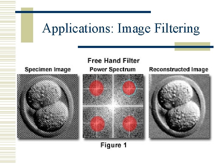 Applications: Image Filtering w 